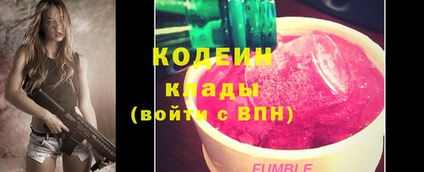 гашик Дмитров