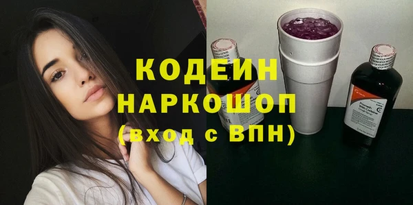 гашик Дмитров