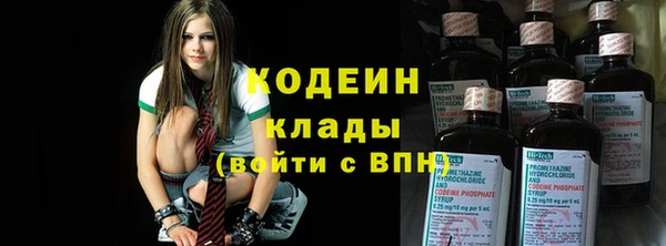 гашик Дмитров