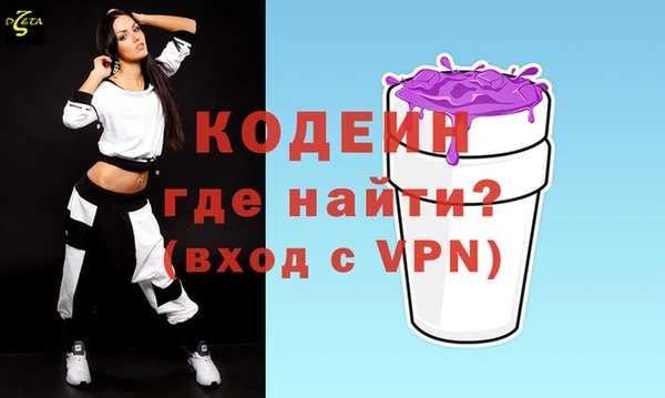 гашик Дмитров