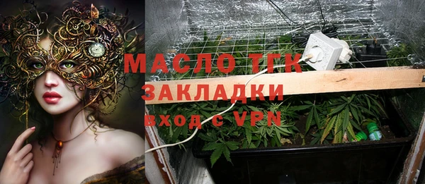 гашик Дмитров