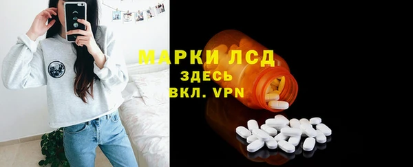 гашик Дмитров