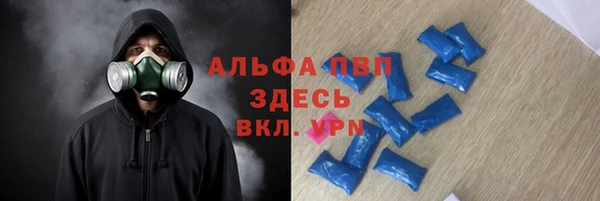 гашик Дмитров