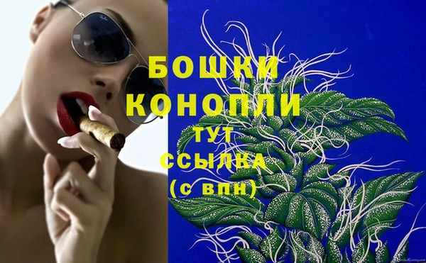 гашик Дмитров