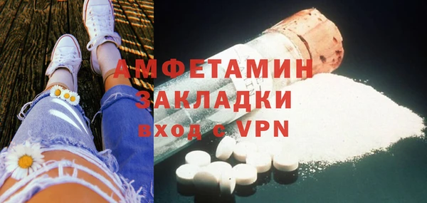 гашик Дмитров