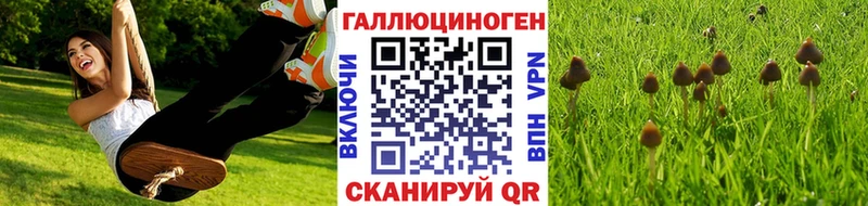 Купить закладки  Назрань  Псилоцибиновые грибы Magic Shrooms 