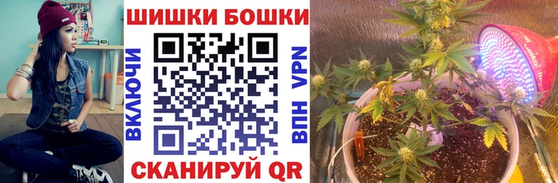 Купить  Назрань  МАРИХУАНА планчик 